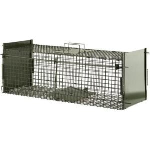 import placeholder for 8019