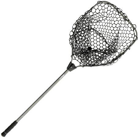 import placeholder for 12961