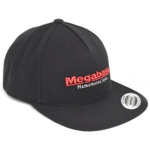 import placeholder for 12643